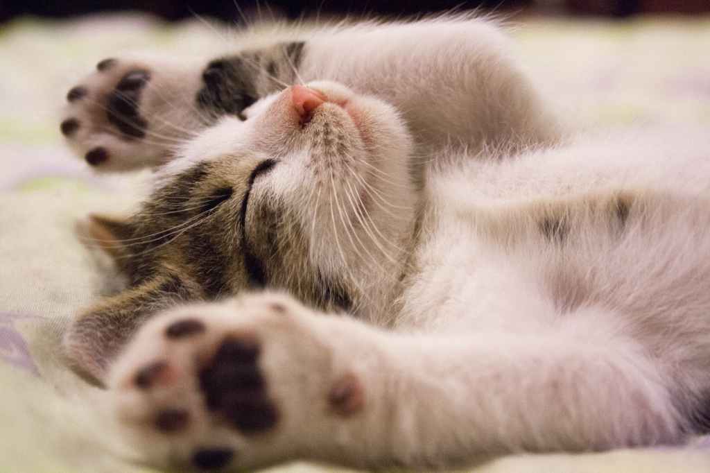 Day 9:  Taking Care of&nbsp;Ourselves