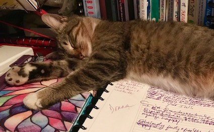Day 86:  Tucked Away in My Magical Writing&nbsp;Haven