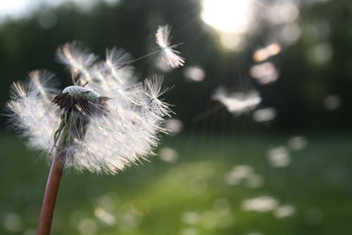 Day 77:  Freedom