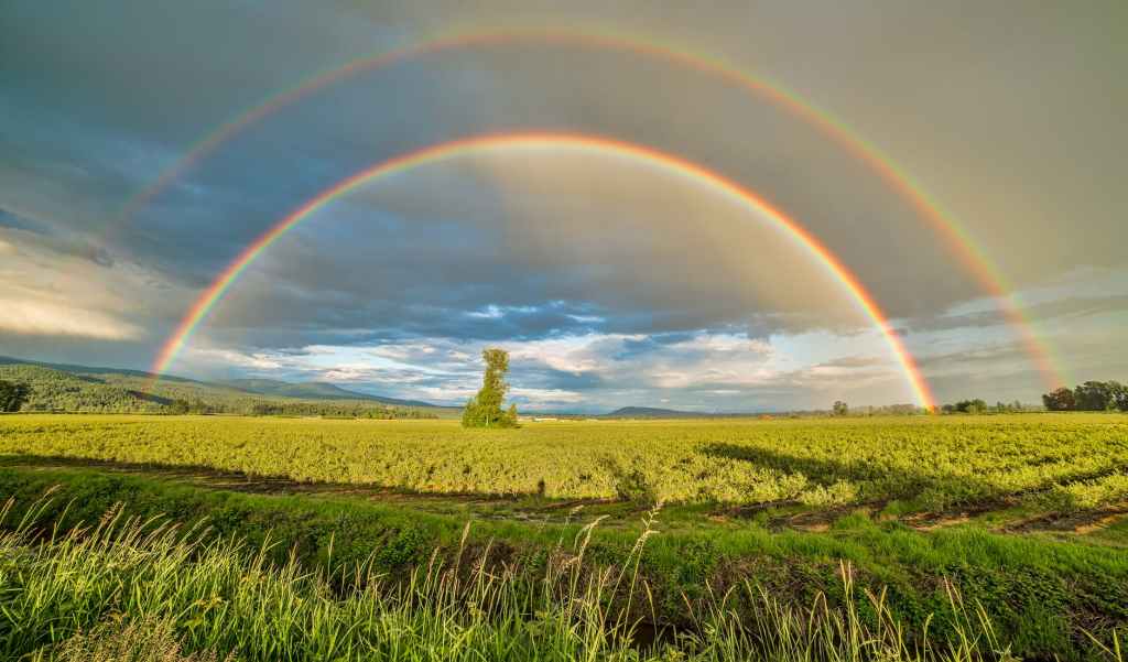 We Will Be the&nbsp;Rainbows